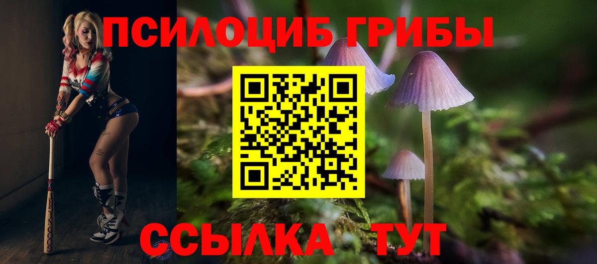 Галлюциногенные грибы ЛСД Малгобек
