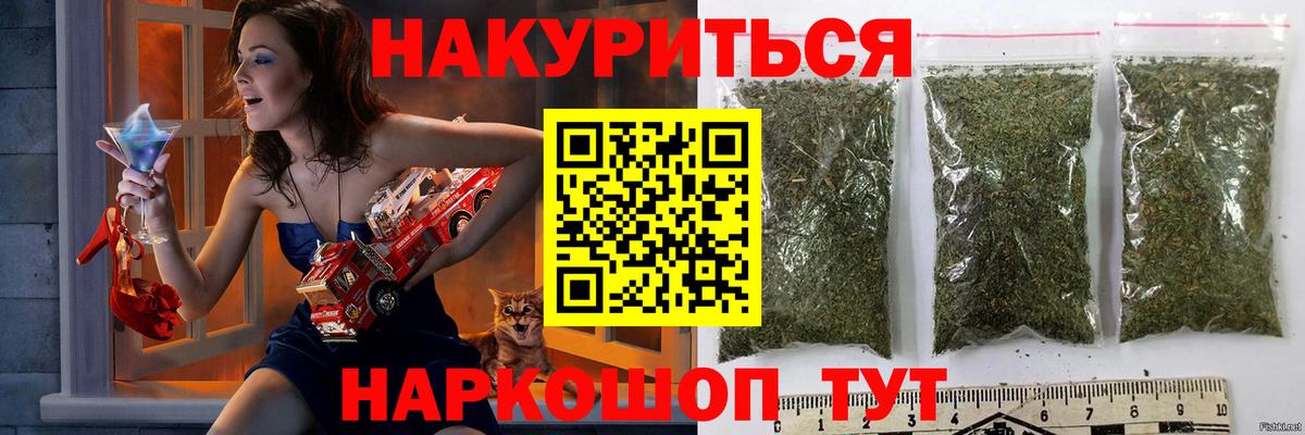 Конопля план Малгобек